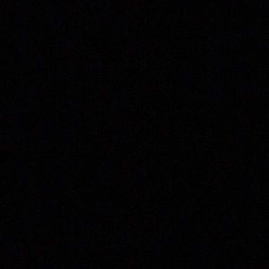 Meet your Posher, Isabella